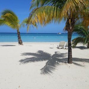 Meet your Posher, Scarlette